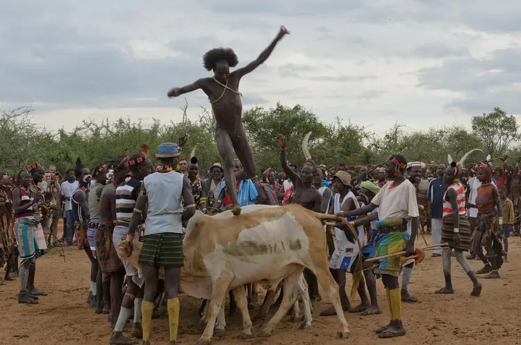 Hamer Ukuli Bulinta / Hamer Cattle Jumping / የሐመር የከብት ላይ ዝላይ